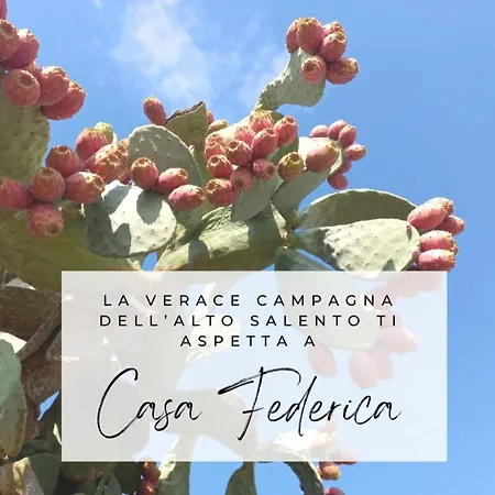 Casa Federica *